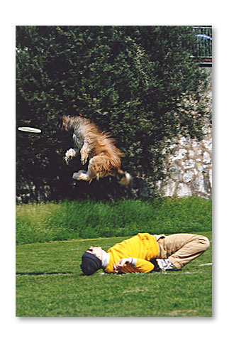 Premio-speciale-animali-e-sport--Artu--di-Alessandro-M.---Osimo