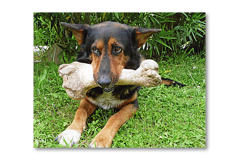 Premio-speciale-foto-buffa--Zac--di-Giovanni-C.---Castelplanio