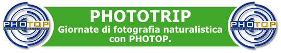 phototripbanner