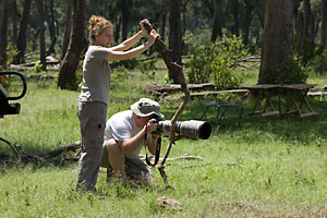 collaborazione