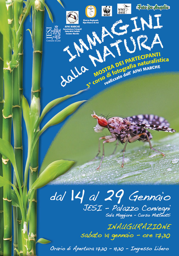 immagini dalla_natura