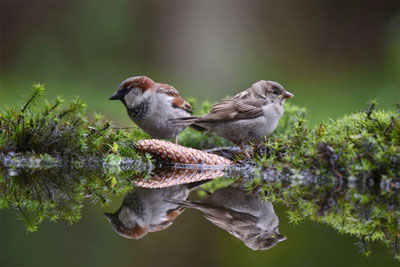 foto 200-500mm 01
