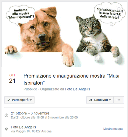evento fb x articolo