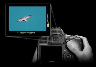 autofocus