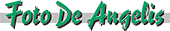 fotodeangelisbottom.png