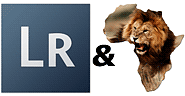 lightroom_africa