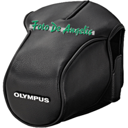 Olympus CS-36FBC Borsa...