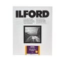 Ilford 20X25 25M Satin MGRCDL 25 fogli