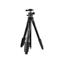 Kingjoy S650 Treppiede Alluminio + Testa GS10