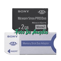 Sony MS PRO DUO 2 Gb con...