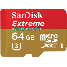 Sandisk MicroSDHC 64 Gb...