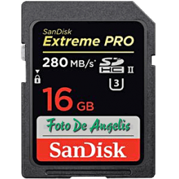 Sandisk SDHC 16 Gb EXTREME...