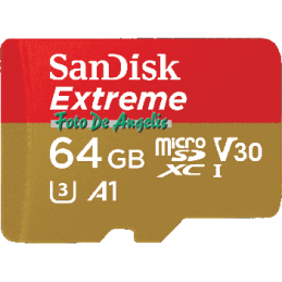 Sandisk MicroSD 64 Gb 667x...