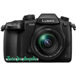 Panasonic GH5 + 12-60...