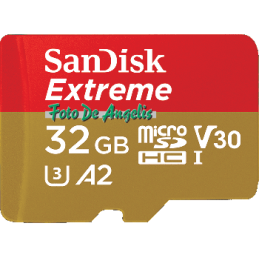 Sandisk Micro SD 32 Gb 667x...