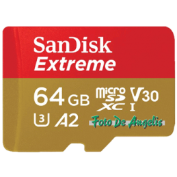 Sandisk MicroSD 64 Gb...