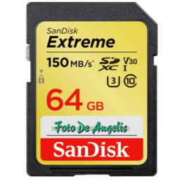 Sandisk SDXC 64 Gb VIDEO...