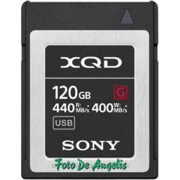 Sony  XQD 120 Gb Serie G