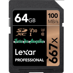 Lexar  SDXC 64 Gb 667x...