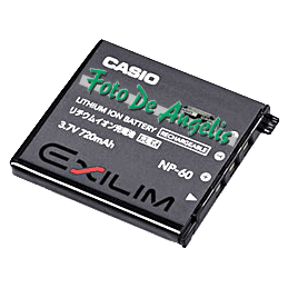 Casio NP60