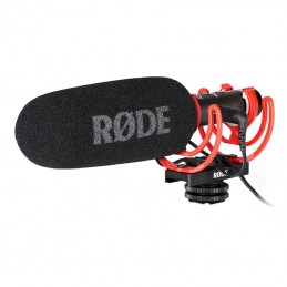 Rode VideoMic NTG on camera...