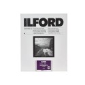 Ilford 30X40 44M Pearl MGRCDL 10 fogli