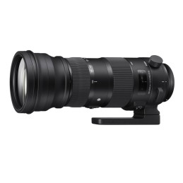 Sigma 150-600 F5-6,3 (S) DG...