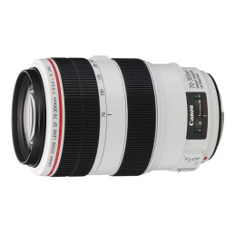 Canon 70-300 F4-5,6 L EF USM IS