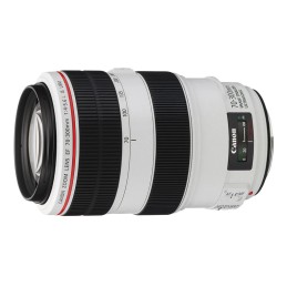 Canon 70-300 F4-5,6 L EF...