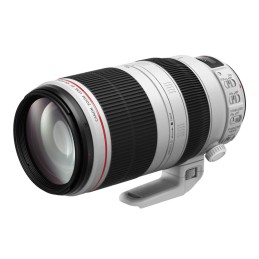 Canon 100-400 F4,5/5,6 EF L...