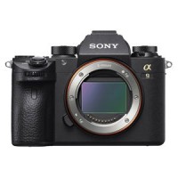 Sony Mirrorless