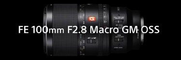 Sony presenta il nuovo FE 100mm F2.8 Macro GM OSS: Ridefinire la fotografia macro per rivelare nuovi mondi