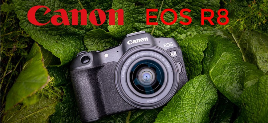 Canon  EOS R8