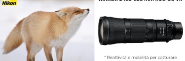 Nikkor Z 180-600 mm f/5.6-6.3 VR